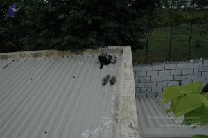 20100611 Photo 1028 12IvHN3TSCIQ4lPc-Ct1EiZDu4Q7JN84B.JPG