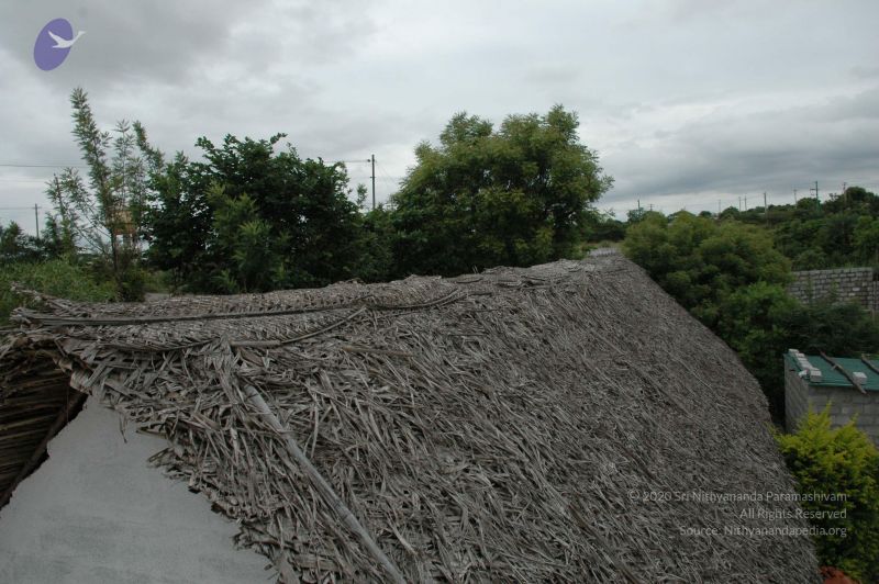 File:20100611 Photo 1029 1jl66ej0EwKGl2f5PUpR9CHHUSIZvAboQ.JPG