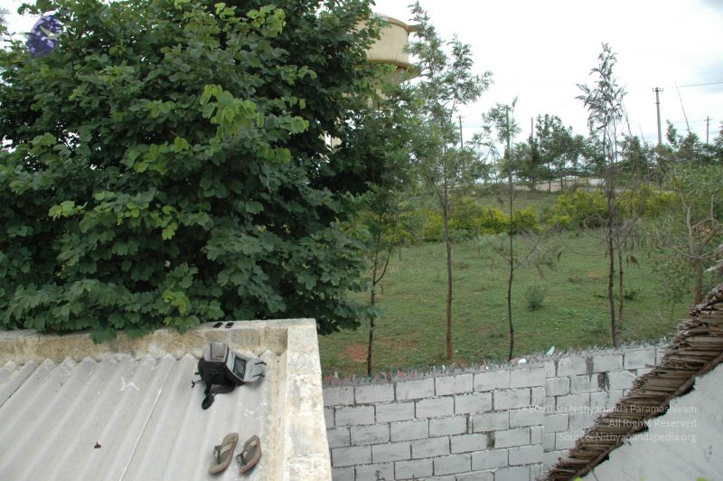 File:20100611 Photo 1030 1EfsTl9sseeGBA GxmECwyUHhzVXSa8Fd.JPG