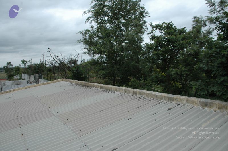 File:20100611 Photo 1031 1EO4bf 0 XNl yTV0NlrPFyptdWDSsyQw.JPG