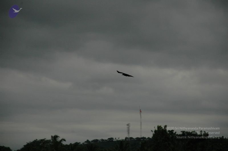 File:20100611 Photo 1034 11isblOVTgMlIjzbO5 E5672JEScMbpdl.JPG