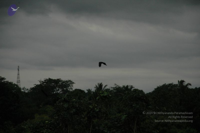 File:20100611 Photo 1036 1Eno1bNs8Pz2rnVv0ghE4VXYvCVY9mx1U.JPG