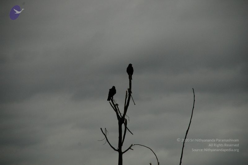 File:20100611 Photo 1037 1EiKgASPNXUbzW7OVmnc9SMFhAaS1J7Kc.JPG