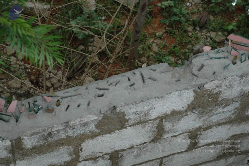 File:20100611 Photo 1043 16p7hD6IUeQOhM30da9AAOrHCA1Mc0wxl.JPG