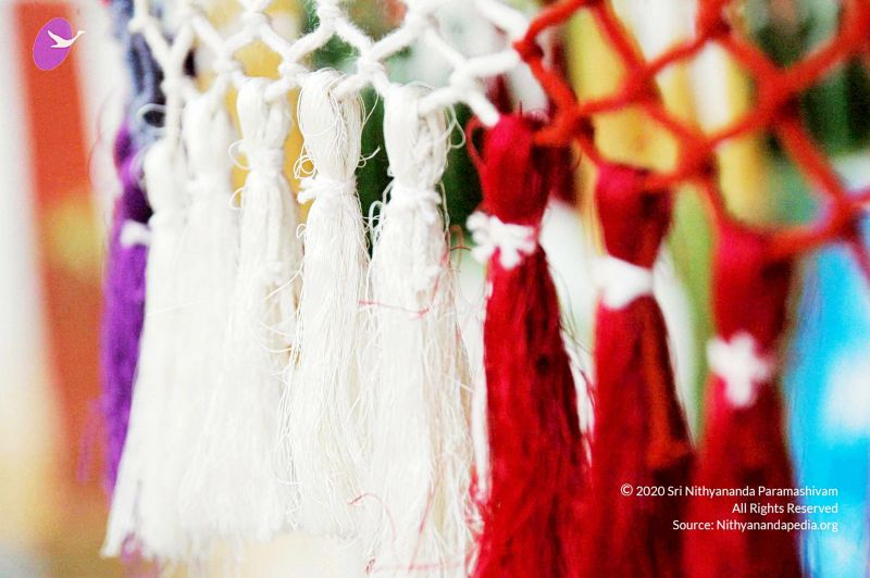 File:20100612DSC 1606 CMP WM1111.jpg