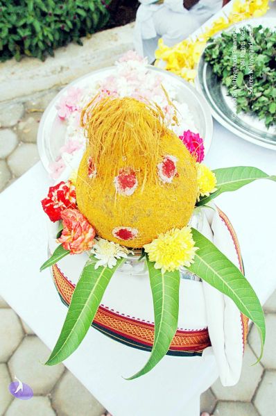 File:20100612DSC 1608 CMP WM1111.jpg