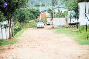 20100612DSC 1627 CMP WM1111.jpg