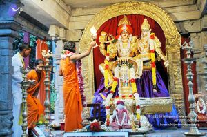 20100612DSC 1673 CMP WM1111.jpg