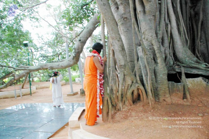 File:20100612DSC 1695 CMP WM1111.jpg