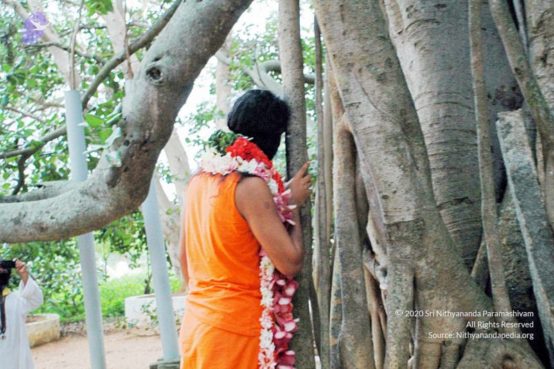 File:20100612DSC 1696 CMP WM1111.jpg