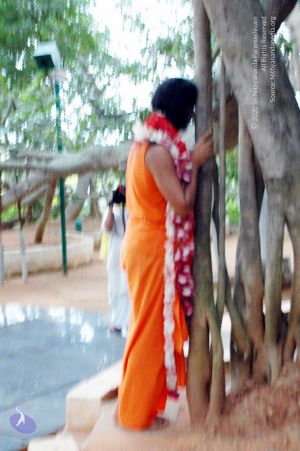 20100612DSC 1698 CMP WM1111.jpg