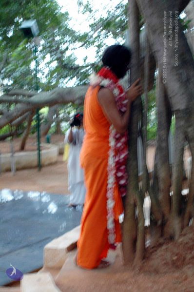 File:20100612DSC 1699 CMP WM1111.jpg