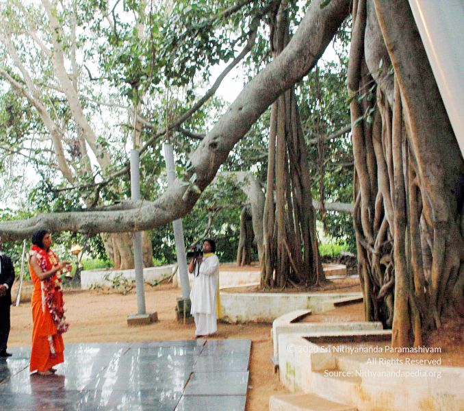 File:20100612DSC 1702 CMP WM1111.jpg