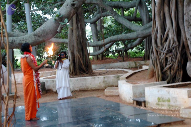 File:20100612DSC 1706 CMP WM1111.jpg