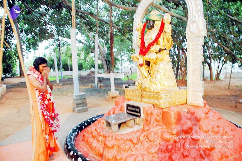 File:20100612DSC 1708 CMP WM1111.jpg