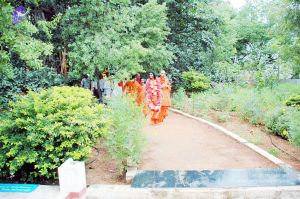 20100612DSC 1710 CMP WM1111.jpg