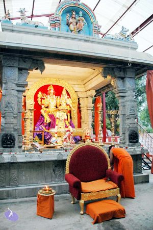 20100612DSC 1720 CMP WM1111.jpg