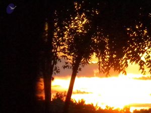 20100618 Photo 1015 1MQ26deB81PnIUQh6PVl1ykYhhsevOT8a.JPG