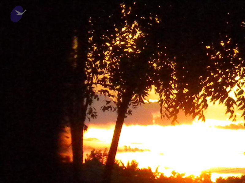 File:20100618 Photo 1015 1MQ26deB81PnIUQh6PVl1ykYhhsevOT8a.JPG