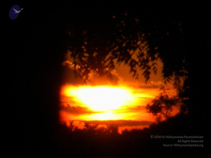 File:20100618 Photo 1016 1qN WUogDSBDvhZAW6N8OP45U-f2KLfNr.JPG