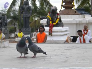 20100618 Photo 1018 1bJZyCLrcTMcHU YB BNiCe6CcBpb5Rp-.JPG