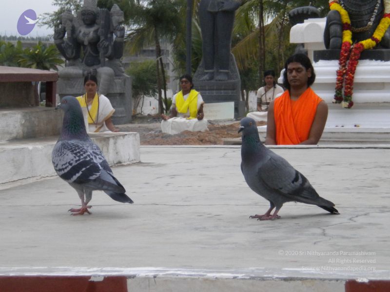 File:20100618 Photo 1019 1CZdTeef5H1xvdMTiEt8Z4QdZIQfAKMlU.JPG