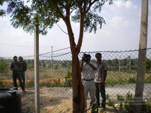 20100618 Photo 1047 1XliH-wWxiHN-lPKeTZn30ZfvFsJLKCrl.JPG