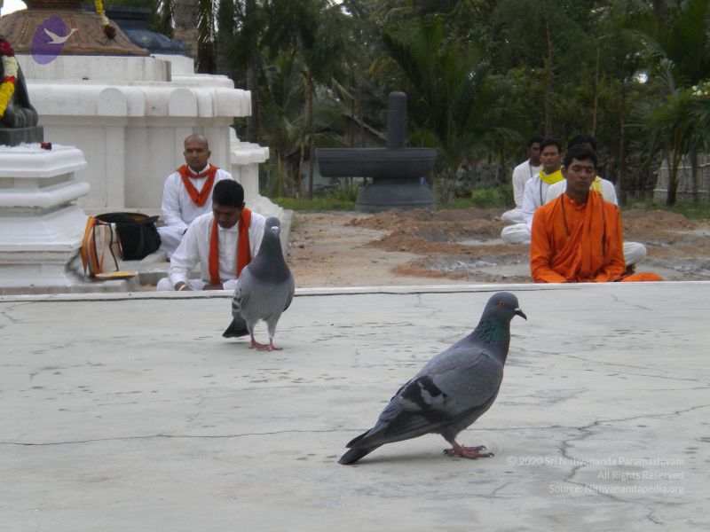 File:20100618 Photo 1095 1NmJVJFwYuZlU BbEn02611AQGtkKotOW.JPG