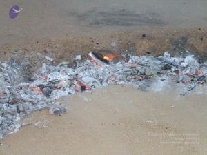 20100618 Photo 1103 1WZdhXNGqprNDesErMNRFJTXcCW1 a0lA.JPG