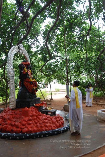 File:20100624 Photo 1021 1wEarL1HGhm2cnYqUZfS22-ENdeccenst.JPG