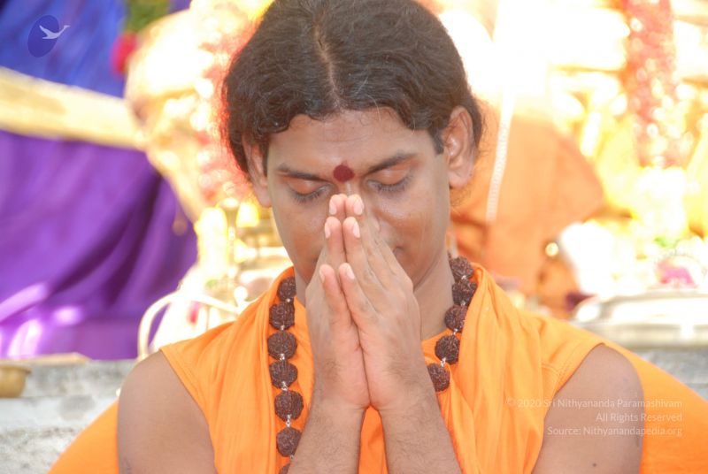 File:20100628 Photo 1027 1TOjg6NWoGOAwKUYZd66bzZEQe8gyIkWO.JPG