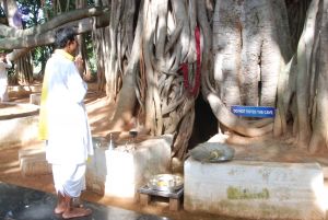 20100630 Photo 1002 1yTdf6vYCUwhvLakU1DZL2UhrE8apZnTG.JPG