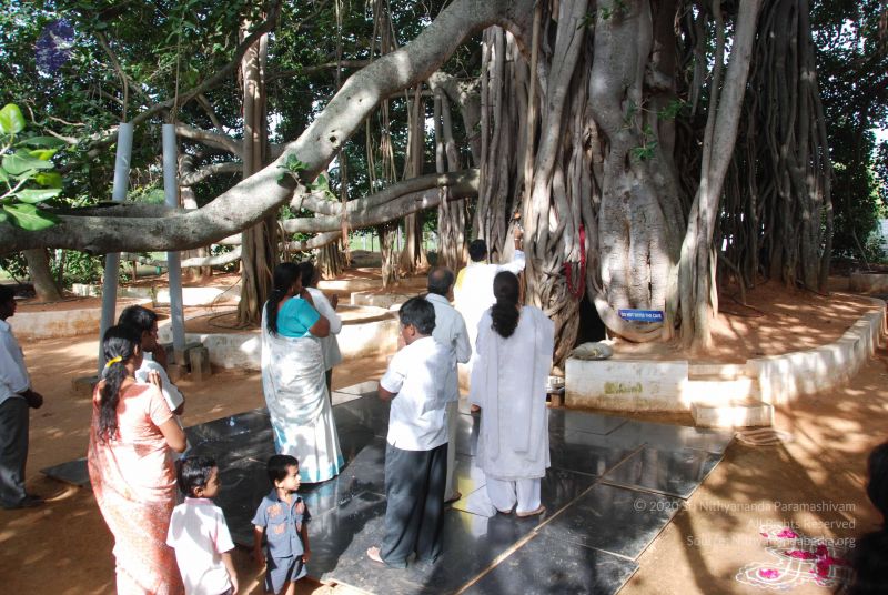 File:20100630 Photo 1008 1SU5aImbl6 qFqPVI8 FbkGs-fObwG5uo.JPG