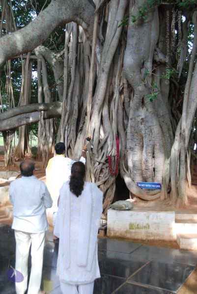 File:20100630 Photo 1010 1if3 F0gBTgOACCqerOqIbQFpK0agm9lp.JPG