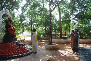 20100630 Photo 1023 16UiQSuAf6h26Jfn55GxVjPKScNGbs7mI.JPG