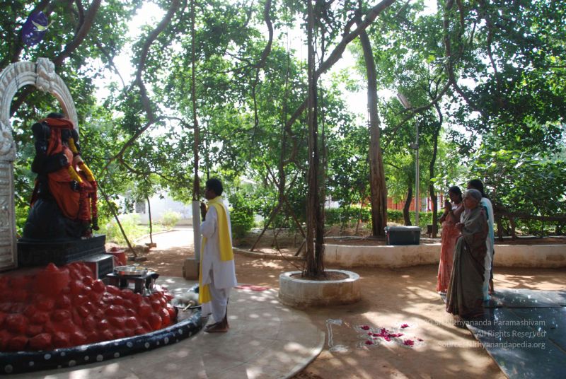 File:20100630 Photo 1023 16UiQSuAf6h26Jfn55GxVjPKScNGbs7mI.JPG