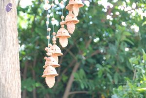 20100630 Photo 1159 1oG3wRHOqMCmAMEOrKHmXjiaCyYBRUz2r.JPG