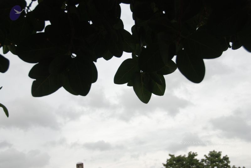 File:20100702 Photo 1196 1y 9QjRfh8a4PI3t0XpHm-P0Ub7tHb Tk.JPG