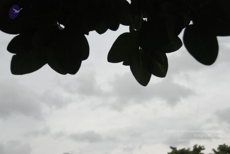 File:20100702 Photo 1197 1Y64Y2WfUUiOnMio1TDASkrfOJnQQjMpf.JPG