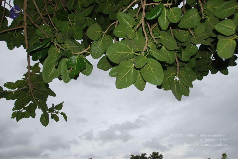 File:20100702 Photo 1202 1eCk0IfN8dz5kfiDyUjBtAAysPqfxuP1E.JPG