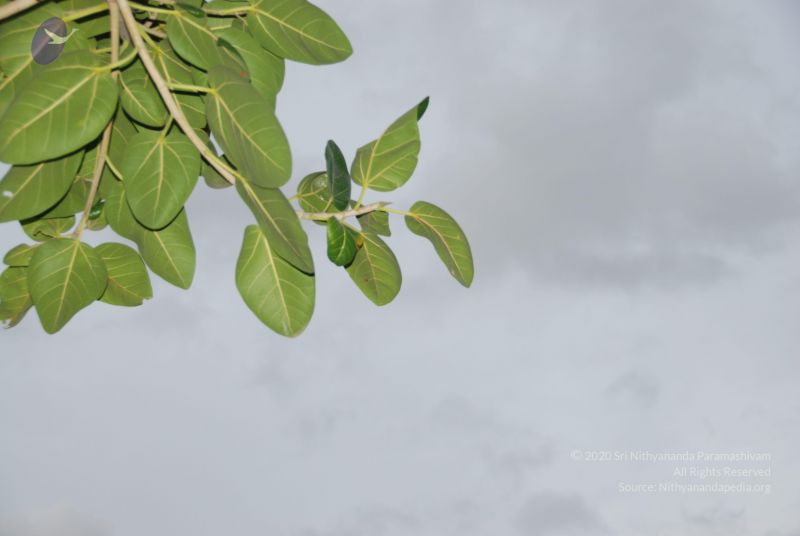 File:20100702 Photo 1203 1gfK9EzN91gNeVNyO1tXplLl8FceZ1ZkN.JPG