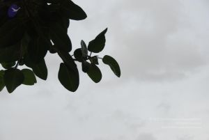 20100702 Photo 1204 1mm2OzRirGHtbzBdH0hckF9hBf9w8I6R8.JPG