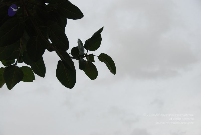 File:20100702 Photo 1204 1mm2OzRirGHtbzBdH0hckF9hBf9w8I6R8.JPG