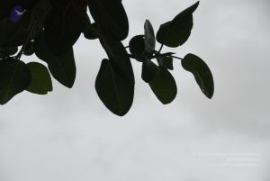 20100702 Photo 1205 1jZ7R2pyorn ok9z3khQd7n7ERrpXaztp.JPG