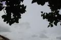 Thumbnail for version as of 18:50, 8 June 2021