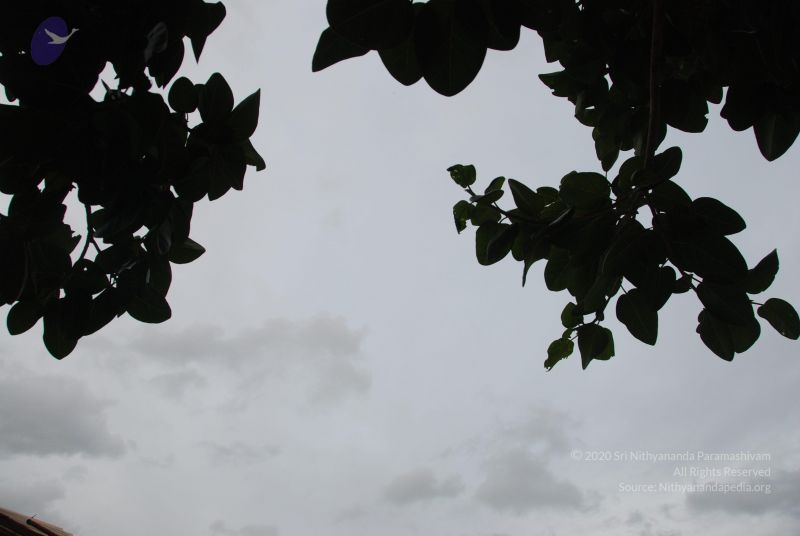 File:20100702 Photo 1207 1apQ8qvGHeyzCelqq19x12OgHlrip7vfa.JPG