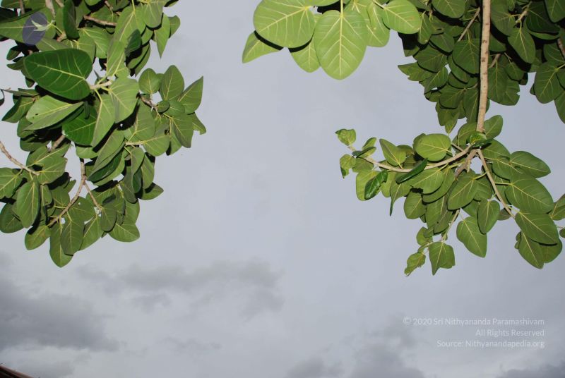 File:20100702 Photo 1208 1Rohsa5R34aZidmy-wSk3GADVFkMcfmAk.JPG
