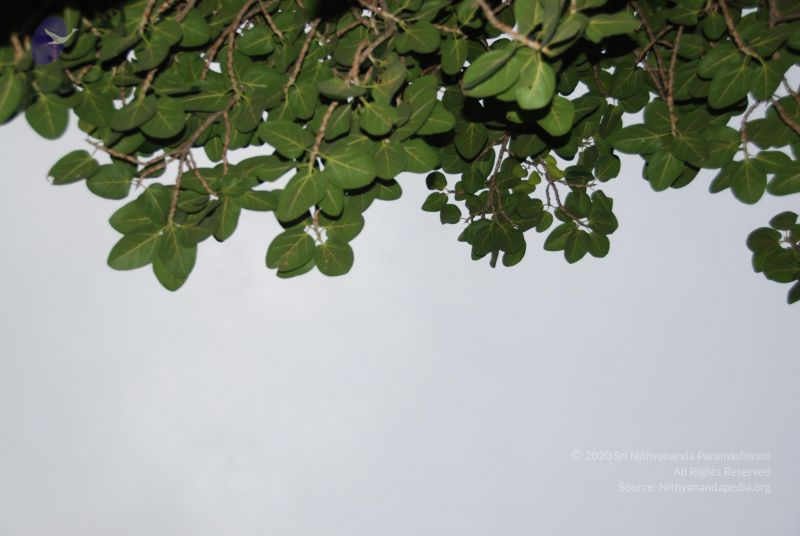 File:20100702 Photo 1211 1Z-cP hnYeMy-u-i2ttPhGgxYm4SVTyxw.JPG