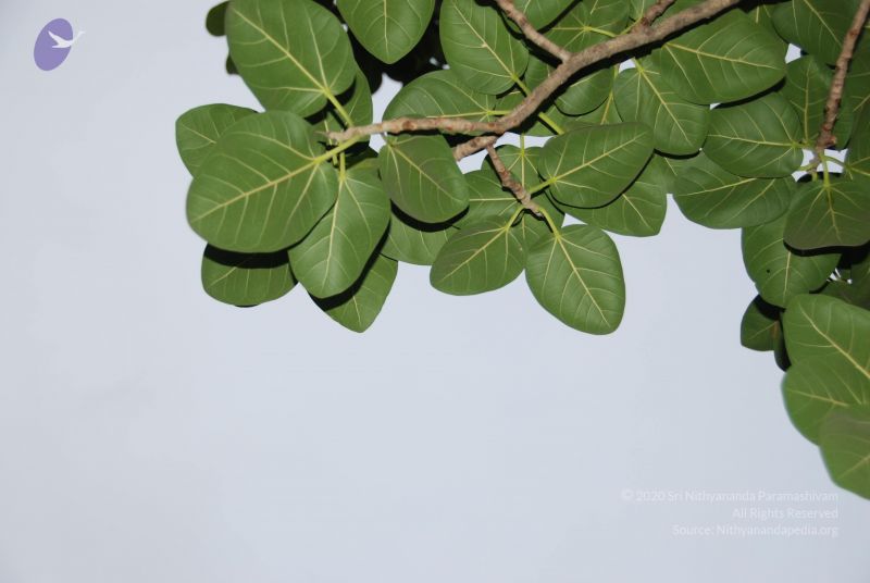 File:20100702 Photo 1215 1C-dEzwl8XIfF8XiiDNYfavsewHfS4gAG.JPG