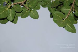 20100702 Photo 1217 1jPXuYctGm-52Z5l4Ni8br3h7GqTdoltz.JPG
